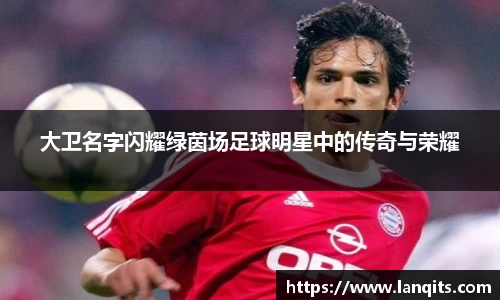 大卫名字闪耀绿茵场足球明星中的传奇与荣耀